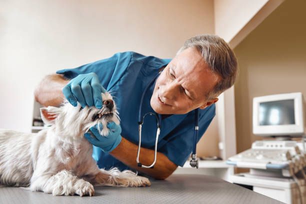 Best Weekend Emergency Dentist in Jacksonville, AR